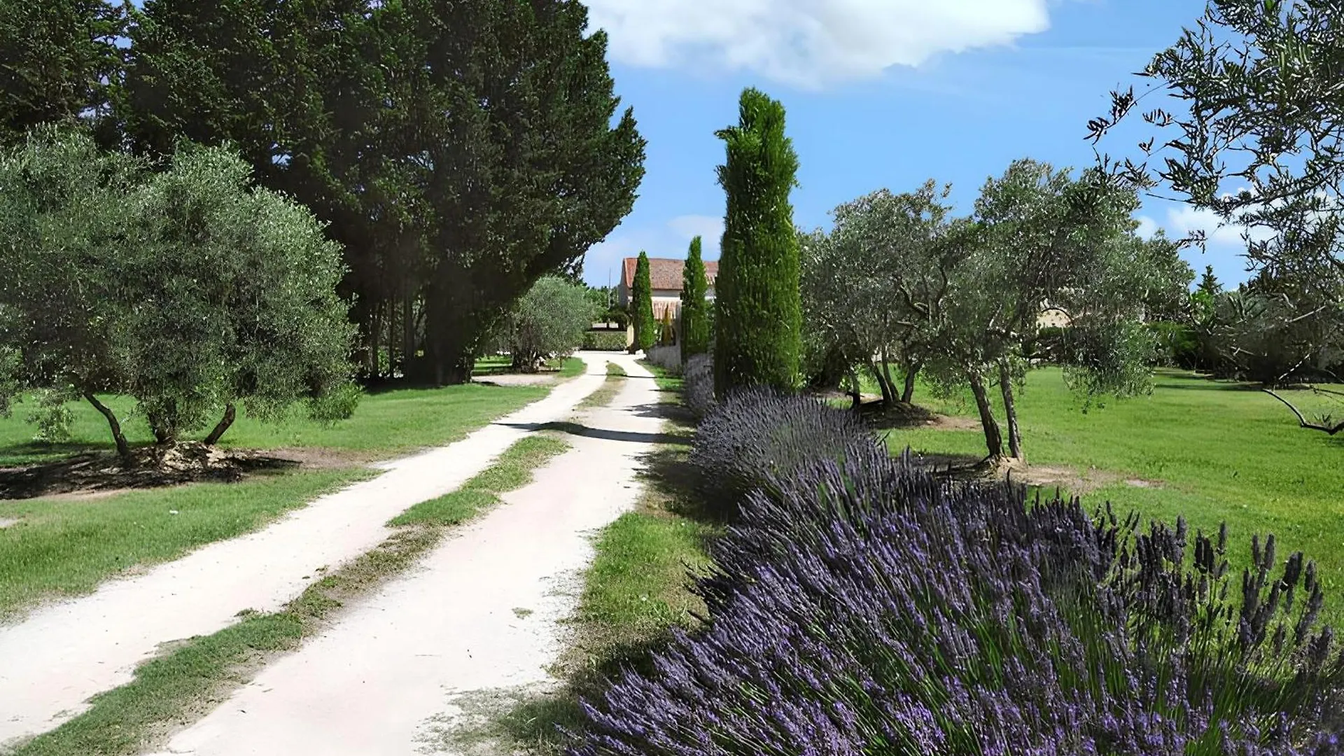 Appartamento Appartement Spacieux A Monteux Avec Piscine Partagee Francia